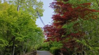Thumbnail of post image 045
