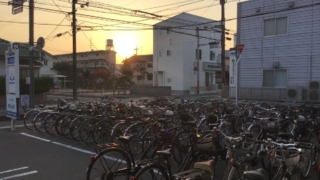 Thumbnail of post image 045