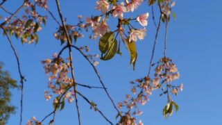 Thumbnail of post image 092