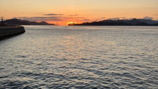 Thumbnail of post image 072